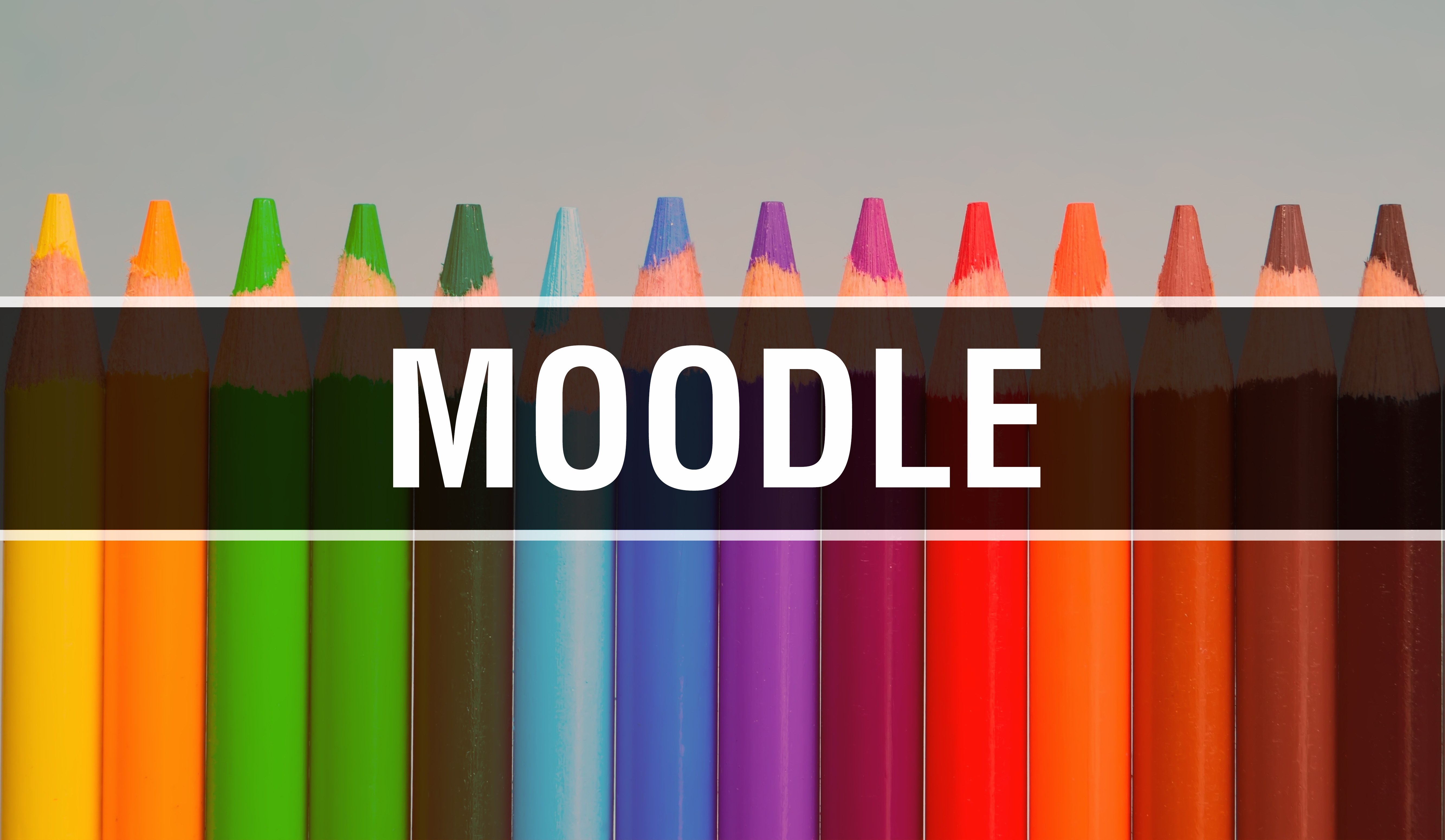Moodle concept with education and back to school concept. Creative educational sketch and Moodle text with colorful background. Moodle on binary School concept, background,3D rendering