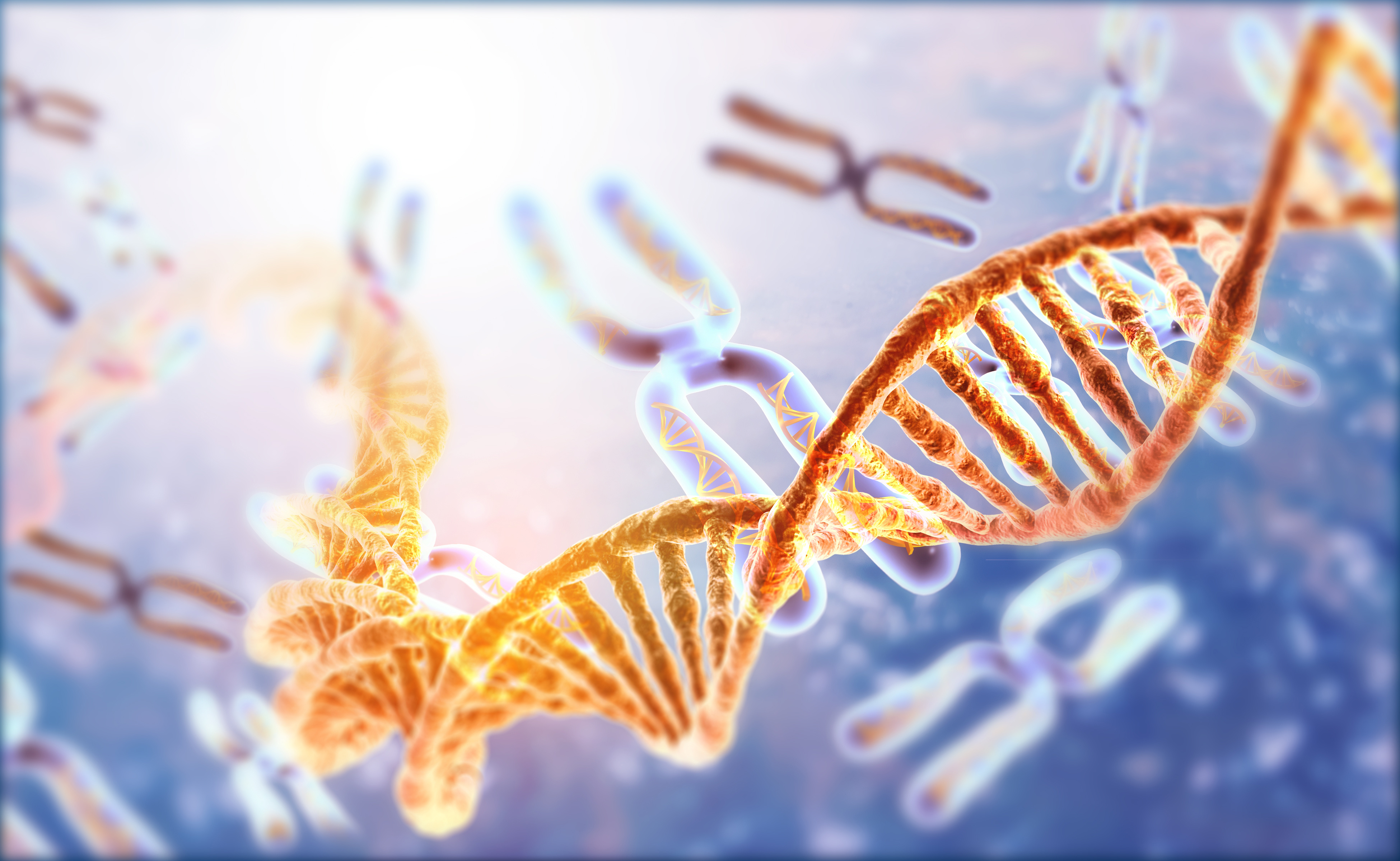 DNA Stränge (Symbolbild)