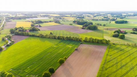 Landschaft in Deutschland (Symbolbild)