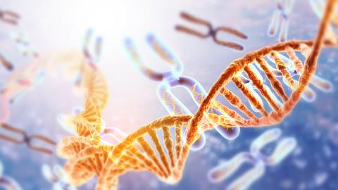 DNA Stränge (Symbolbild)
