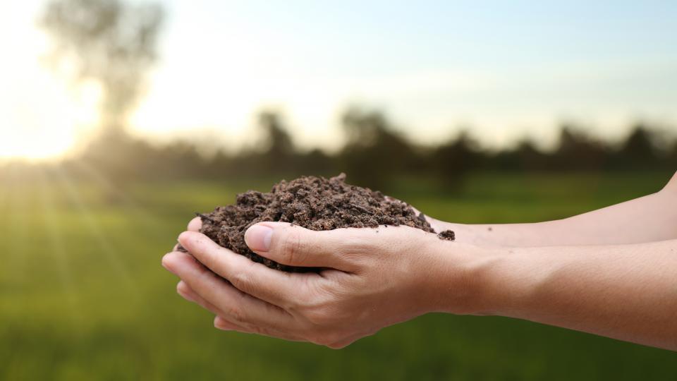 Handvoll Ackerboden in Händen des verantwortlichen Landwirts, Nahaufnahme, selektiver Fokus