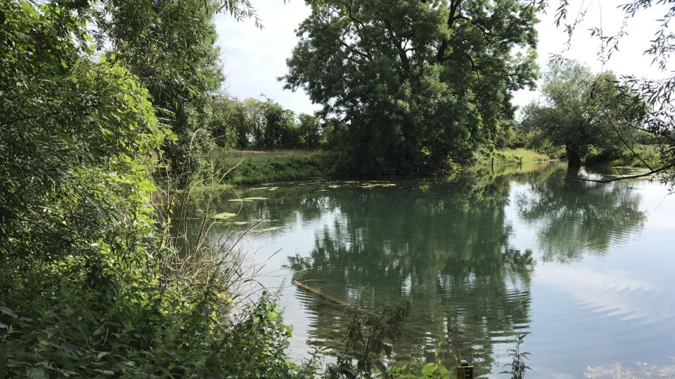 Naturschutz (Symbolbild)