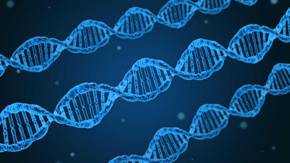 DNA (Symbolbild)