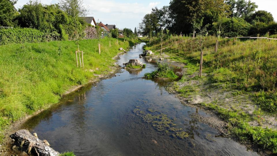 Renaturiertes Gewässer (Symbolbild)