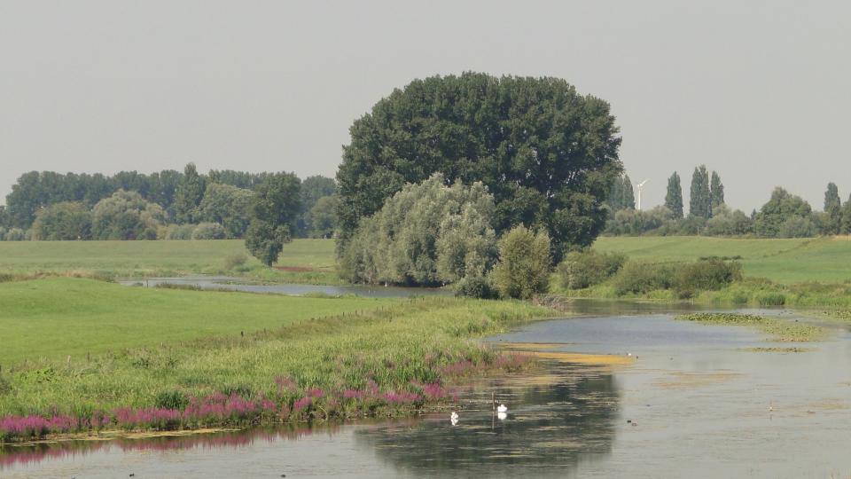 Überschwemmung (Symbolbild)