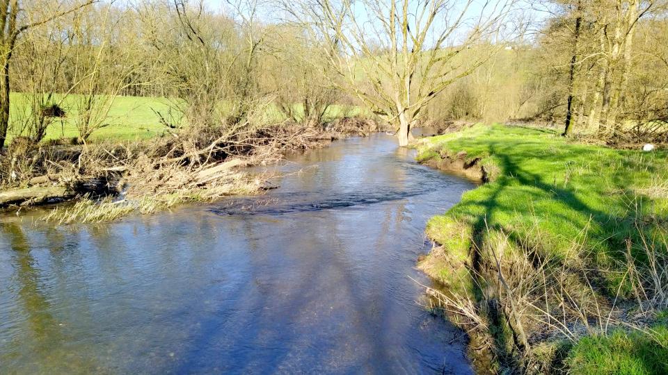 Mehr Raum für den Fluss - natürliche Strukturen bieten Vorteile für die Ökologie und die Hochwasservorsorge - Wupper