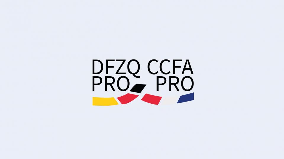 Logo Deutsch-Französische Zusatzqualifikation (DFZQ PRO)