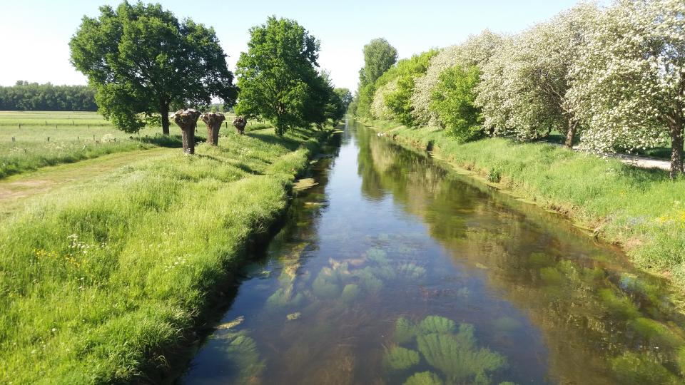 Niers bei Grefrath Oedt