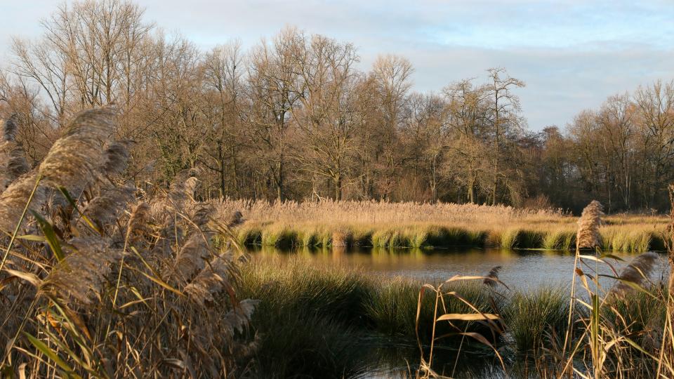 Schwalm-Nette Naturpark