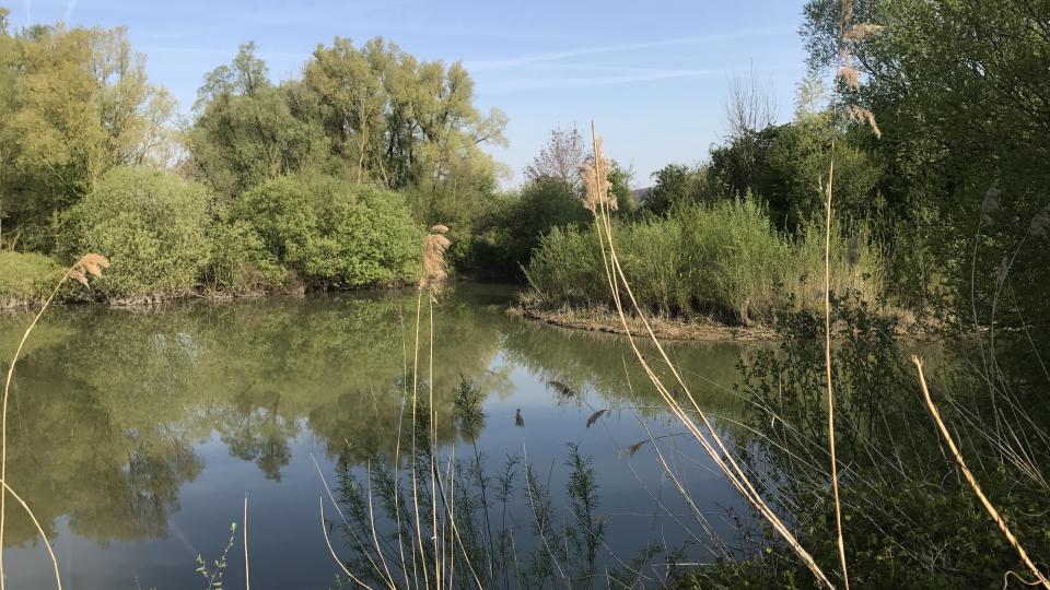 Naturschutzgebiet die Moiedtjes