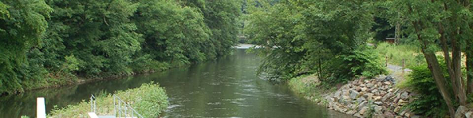 Fischmonitoring an der Wupper