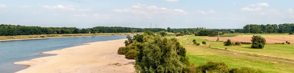 Rhein Uedesheim Niedrigwasser (Symbolbild)