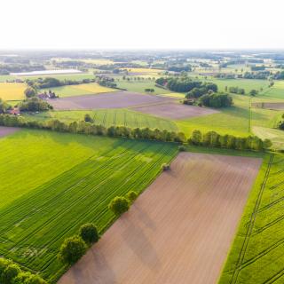 Landschaft in Deutschland (Symbolbild)