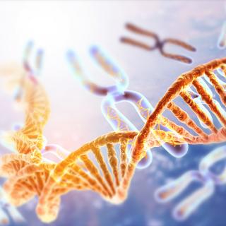 DNA Stränge (Symbolbild)