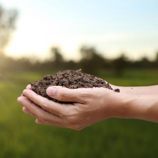 Handvoll Ackerboden in Händen des verantwortlichen Landwirts, Nahaufnahme, selektiver Fokus