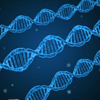 DNA (Symbolbild)