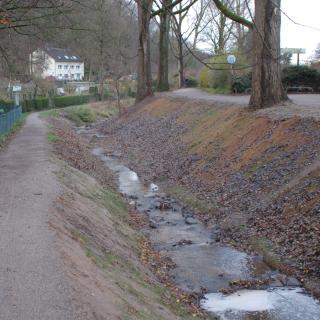 Der renaturierte Abschnitt des Pillebachs zwischen Dernbuschweg und Peckhausweg
