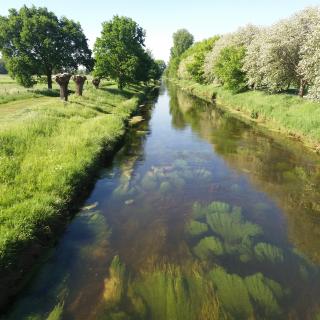 Niers bei Grefrath Oedt