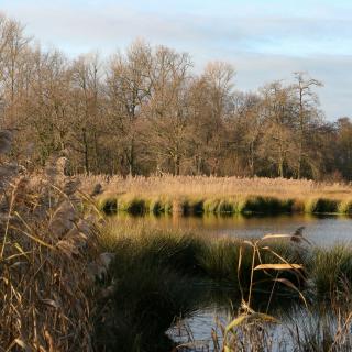 Schwalm-Nette Naturpark