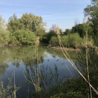 Naturschutzgebiet die Moiedtjes